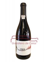 Iter Tinto